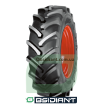 Шина 480/70R38 RD-02 145A8/145B TBL Cultor